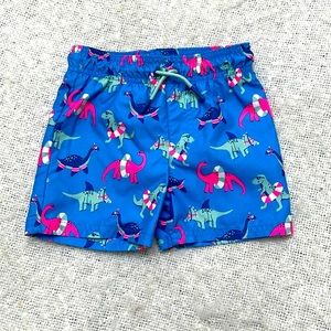 Cat & Jack 2t toddler boys swim trunks with liner